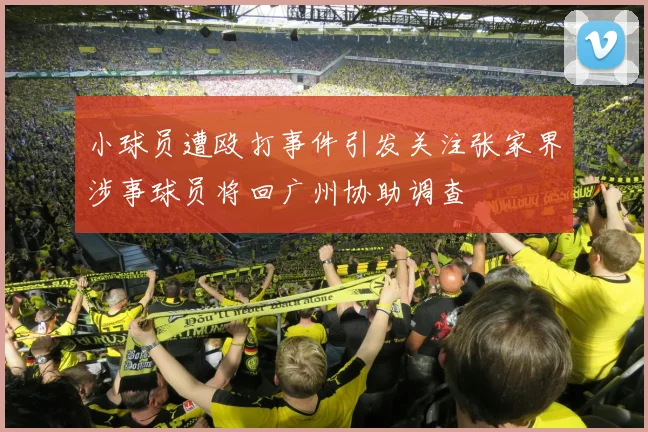 小球员遭殴打事件引发关注张家界涉事球员将回广州协助调查